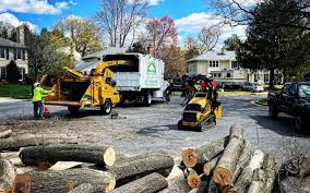 Best Firewood Processing and Delivery  in Bagley, MN